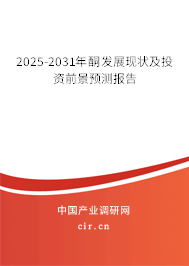 2025-2031年酮發(fā)展現(xiàn)狀及投資前景預(yù)測報告