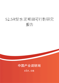 52.5R型水泥項目可行性研究報告
