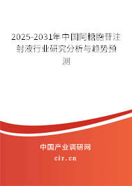 2025-2031年中國阿糖胞苷注射液行業(yè)研究分析與趨勢預(yù)測