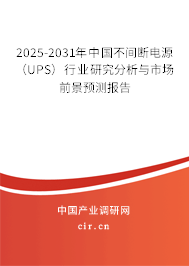 2025-2031年中國不間斷電源（UPS）行業(yè)研究分析與市場前景預(yù)測報告
