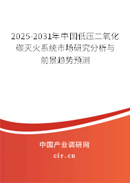2025-2031年中國低壓二氧化碳滅火系統(tǒng)市場研究分析與前景趨勢預(yù)測