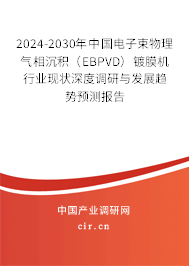 2024-2030年中國電子束物理氣相沉積（EBPVD）鍍膜機(jī)行業(yè)現(xiàn)狀深度調(diào)研與發(fā)展趨勢預(yù)測報告