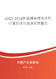 2025-2031年福建合成洗滌劑行業(yè)現(xiàn)狀與發(fā)展前景報(bào)告