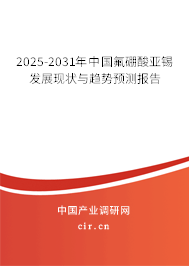 2025-2031年中國(guó)氟硼酸亞錫發(fā)展現(xiàn)狀與趨勢(shì)預(yù)測(cè)報(bào)告
