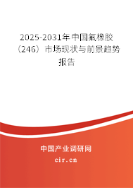 2025-2031年中國氟橡膠（246）市場現狀與前景趨勢報告