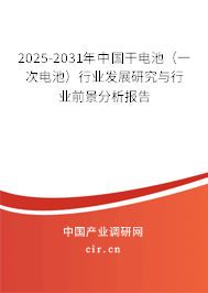 2025-2031年中國干電池（一次電池）行業(yè)發(fā)展研究與行業(yè)前景分析報告