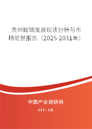 貴州玻璃發(fā)展現(xiàn)狀分析與市場前景報告（2025-2031年）