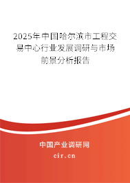 2025年中國哈爾濱市工程交易中心行業(yè)發(fā)展調(diào)研與市場前景分析報告