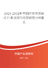 2024-2030年中國環(huán)境傳感器IC行業(yè)調研與前景趨勢分析報告