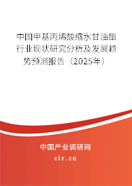 中國甲基丙烯酸縮水甘油酯行業(yè)現(xiàn)狀研究分析及發(fā)展趨勢預(yù)測報告（2025年）