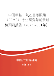 中國甲基三氟乙基碳酸酯（FEMC）行業(yè)研究與前景趨勢預測報告（2025-2031年）