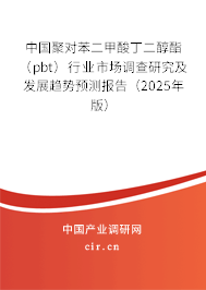 中國聚對苯二甲酸丁二醇酯（pbt）行業(yè)市場調(diào)查研究及發(fā)展趨勢預(yù)測報告（2025年版）