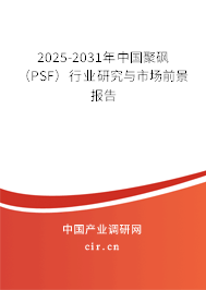 2025-2031年中國聚砜（PSF）行業(yè)研究與市場前景報告