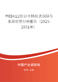 中國K12培訓市場現(xiàn)狀調(diào)研與發(fā)展前景分析報告（2025-2031年）