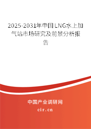 2025-2031年中國LNG水上加氣站市場研究及前景分析報告