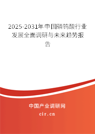 2025-2031年中國磷鎢酸行業(yè)發(fā)展全面調(diào)研與未來趨勢報告