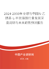 2024-2030年全球與中國N-乙酰基-L-半胱氨酸行業(yè)發(fā)展深度調(diào)研與未來趨勢預(yù)測報告