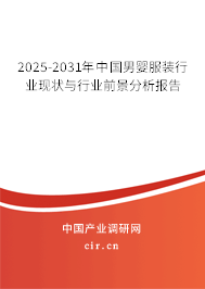 2025-2031年中國男嬰服裝行業(yè)現(xiàn)狀與行業(yè)前景分析報告