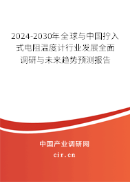 2024-2030年全球與中國擰入式電阻溫度計行業(yè)發(fā)展全面調(diào)研與未來趨勢預(yù)測報告