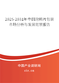 2025-2031年中國泡騰片包裝市場分析與發(fā)展前景報告