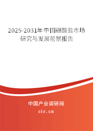 2025-2031年中國硼酸鹽市場研究與發(fā)展前景報告