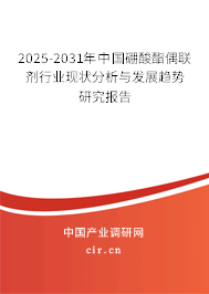 2025-2031年中國硼酸酯偶聯(lián)劑行業(yè)現(xiàn)狀分析與發(fā)展趨勢研究報告
