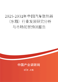 2025-2031年中國汽車散熱器（水箱）行業(yè)發(fā)展研究分析與市場前景預測報告
