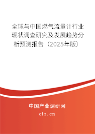 全球與中國燃?xì)饬髁坑?jì)行業(yè)現(xiàn)狀調(diào)查研究及發(fā)展趨勢分析預(yù)測報(bào)告（2025年版）