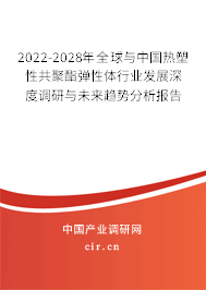 2022-2028年全球與中國(guó)熱塑性共聚酯彈性體行業(yè)發(fā)展深度調(diào)研與未來(lái)趨勢(shì)分析報(bào)告