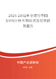2025-2031年全球與中國SIMS分析市場現(xiàn)狀及前景趨勢報告