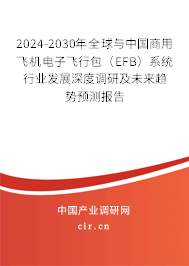 2024-2030年全球與中國(guó)商用飛機(jī)電子飛行包（EFB）系統(tǒng)行業(yè)發(fā)展深度調(diào)研及未來趨勢(shì)預(yù)測(cè)報(bào)告
