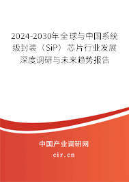 2024-2030年全球與中國系統(tǒng)級封裝（SiP）芯片行業(yè)發(fā)展深度調(diào)研與未來趨勢報告
