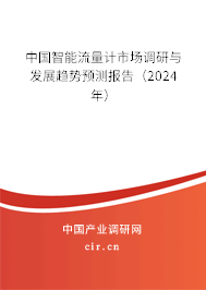 中國智能流量計(jì)市場調(diào)研與發(fā)展趨勢預(yù)測報告（2024年）