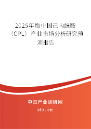 2025年版中國己內(nèi)酰胺（CPL）產(chǎn)業(yè)市場分析研究預(yù)測報告