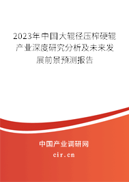 2023年中國(guó)大輥徑壓榨硬輥產(chǎn)業(yè)深度研究分析及未來(lái)發(fā)展前景預(yù)測(cè)報(bào)告