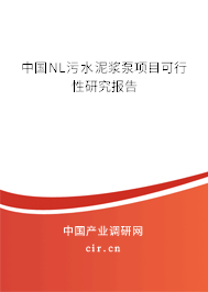 中國(guó)NL污水泥漿泵項(xiàng)目可行性研究報(bào)告