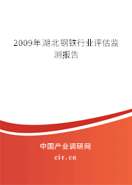 2009年湖北鋼鐵行業(yè)評估監(jiān)測報告