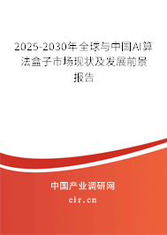 2025-2030年全球與中國AI算法盒子市場現(xiàn)狀及發(fā)展前景報告