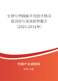 全球與中國(guó)扁平線圈市場(chǎng)深度調(diào)研與發(fā)展趨勢(shì)報(bào)告（2025-2031年）