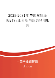 2025-2031年中國車規(guī)級IGBT行業(yè)分析與趨勢預測報告