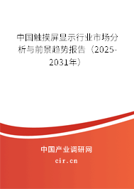 中國觸摸屏顯示行業(yè)市場分析與前景趨勢報告（2025-2031年）
