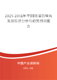 2025-2031年中國除濕白帶丸發(fā)展現(xiàn)狀分析與趨勢預測報告