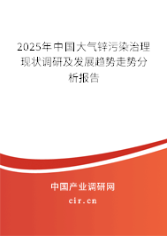 2025年中國大氣鋅污染治理現(xiàn)狀調(diào)研及發(fā)展趨勢走勢分析報告