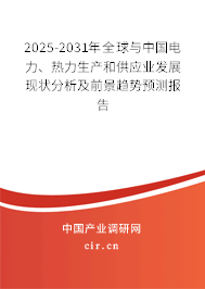 2025-2031年全球與中國電力、熱力生產(chǎn)和供應(yīng)業(yè)發(fā)展現(xiàn)狀分析及前景趨勢預(yù)測報告