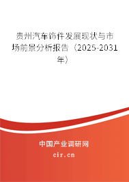 貴州汽車飾件發(fā)展現(xiàn)狀與市場(chǎng)前景分析報(bào)告（2025-2031年）
