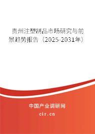 貴州注塑制品市場(chǎng)研究與前景趨勢(shì)報(bào)告（2025-2031年）