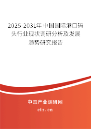 2025-2031年中國國際港口碼頭行業(yè)現(xiàn)狀調研分析及發(fā)展趨勢研究報告