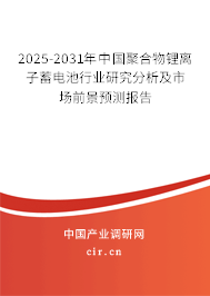 2025-2031年中國(guó)聚合物鋰離子蓄電池行業(yè)研究分析及市場(chǎng)前景預(yù)測(cè)報(bào)告