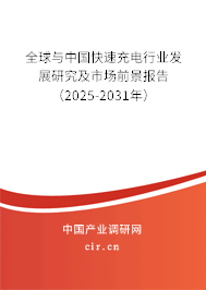 全球與中國快速充電行業(yè)發(fā)展研究及市場(chǎng)前景報(bào)告（2025-2031年）