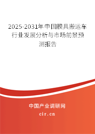 2024-2030年中國模具搬運車行業(yè)發(fā)展分析與市場前景預測報告